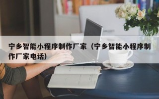 利津宁乡智能小程序制作厂家（宁乡智能小程序制作厂家电话）